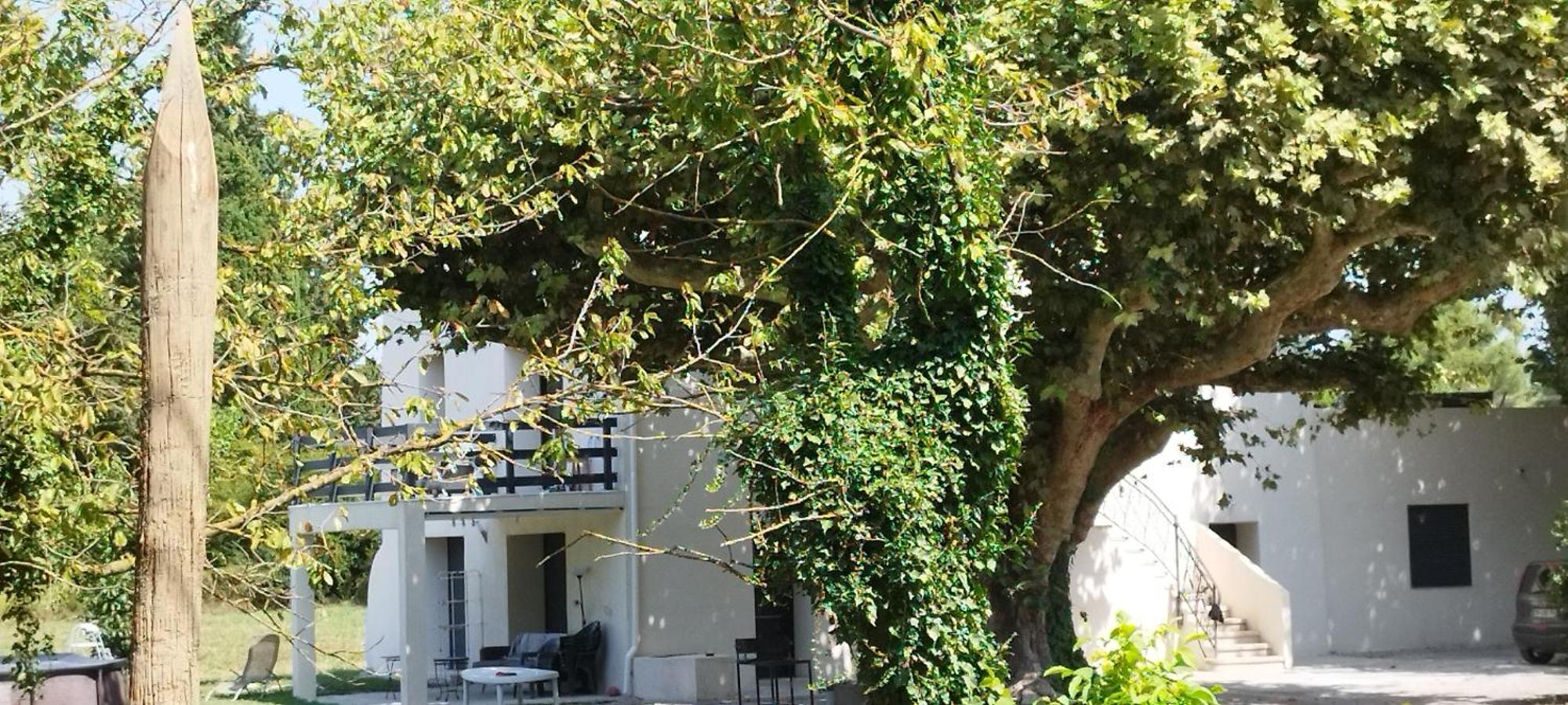 勒托尔Mas En Provence别墅 外观 照片