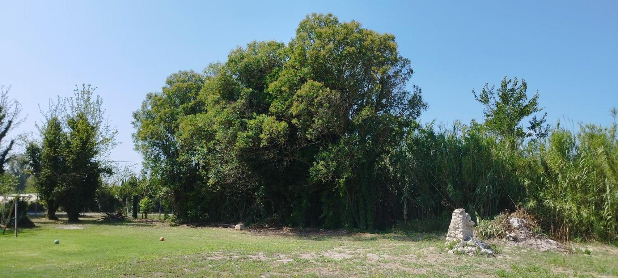 勒托尔Mas En Provence别墅 外观 照片