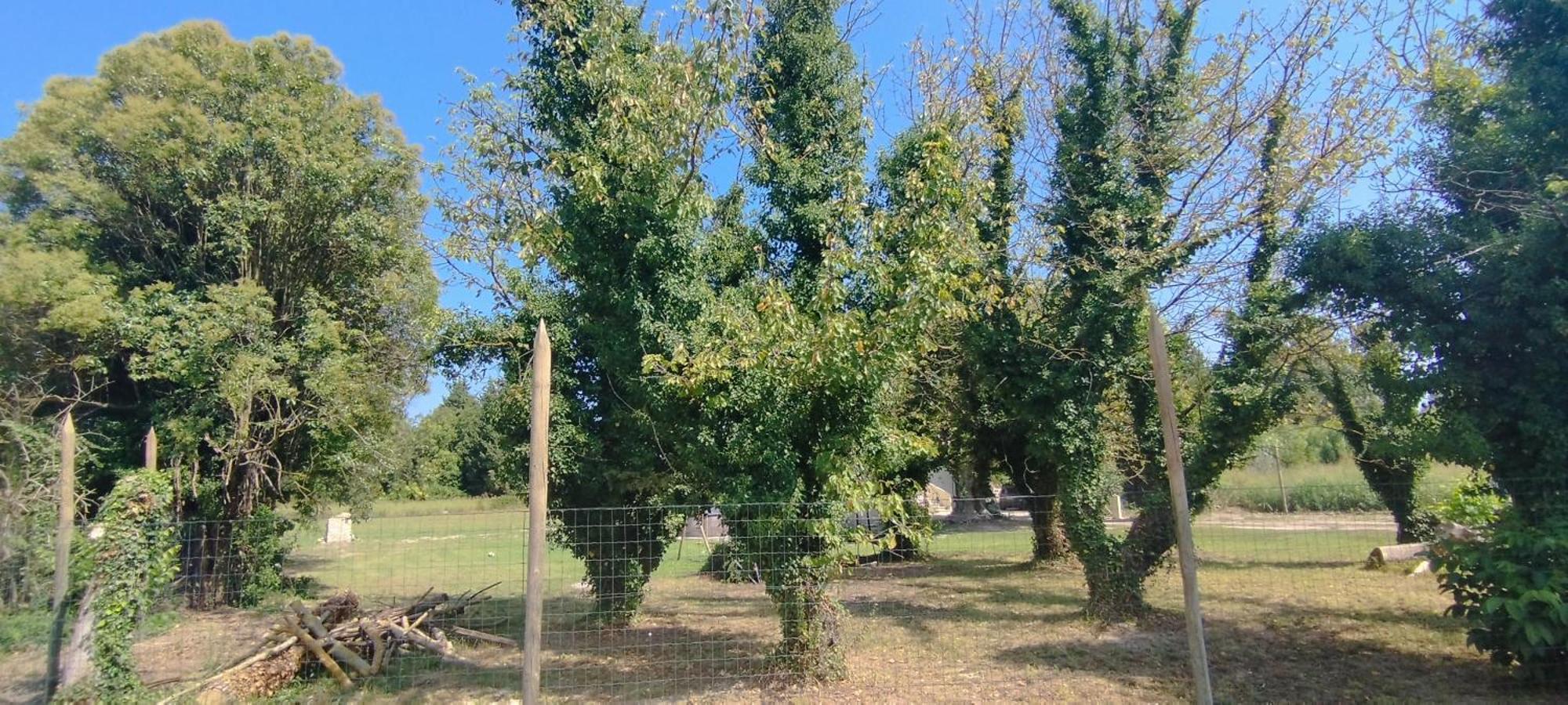 勒托尔Mas En Provence别墅 外观 照片