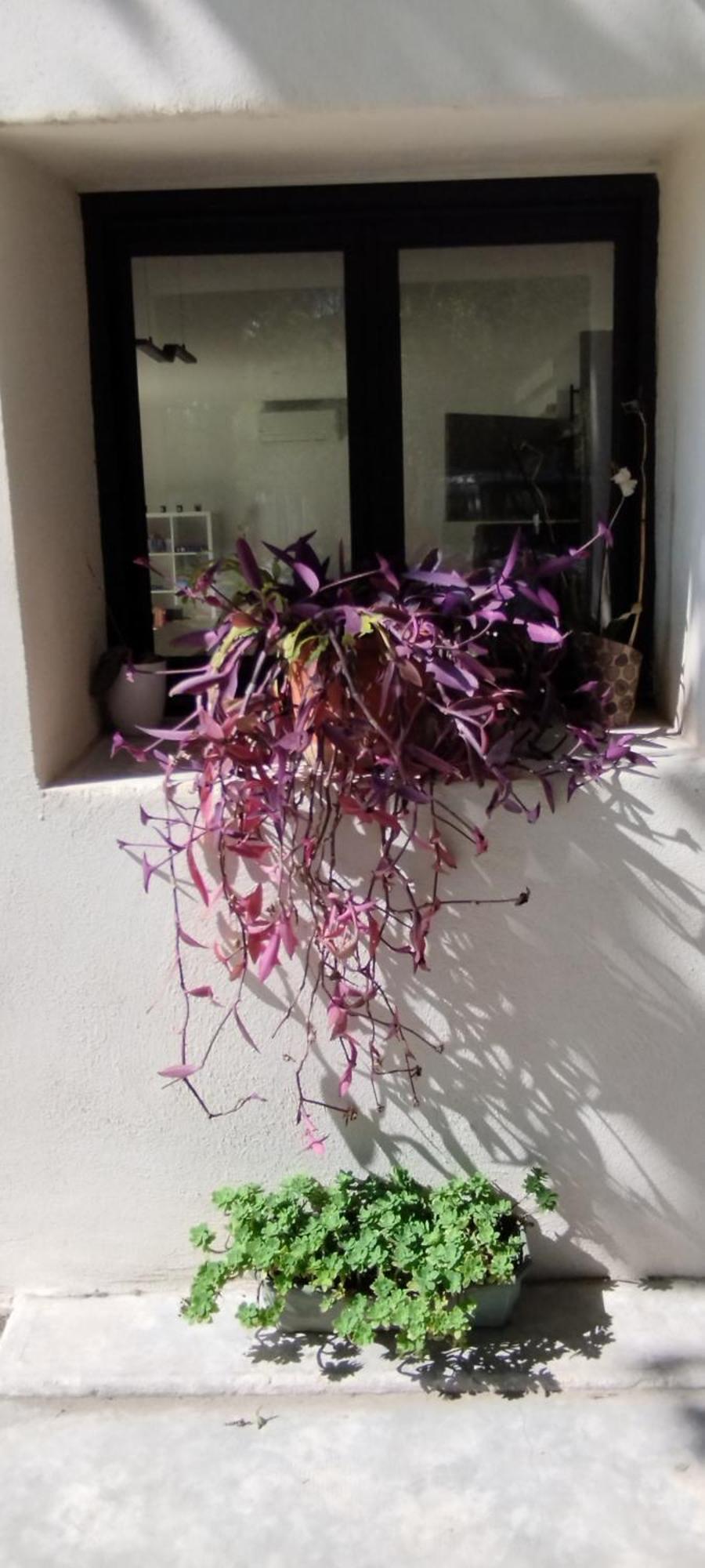 勒托尔Mas En Provence别墅 外观 照片